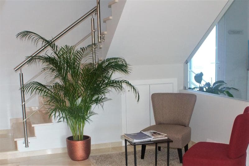 Silver Seahorse Garden Retreat 5