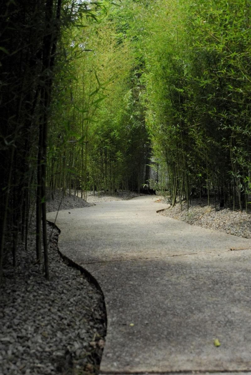 The One Nanyuan (Adults Only) 4