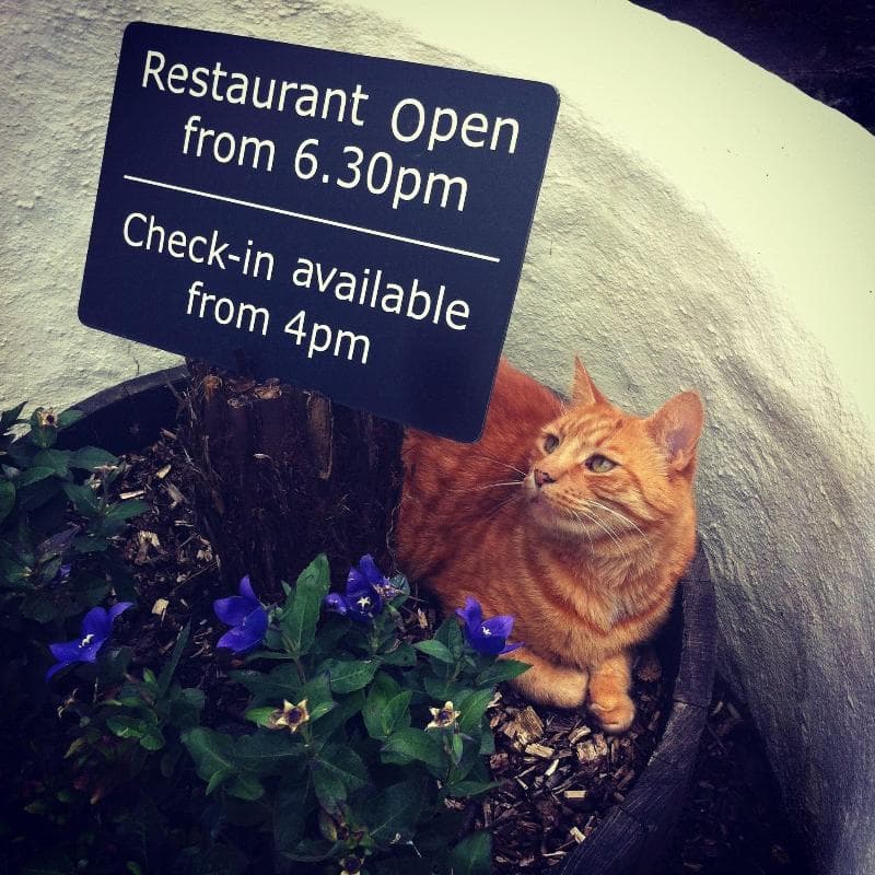 The Waterwheel Inn (Adults Only) 4
