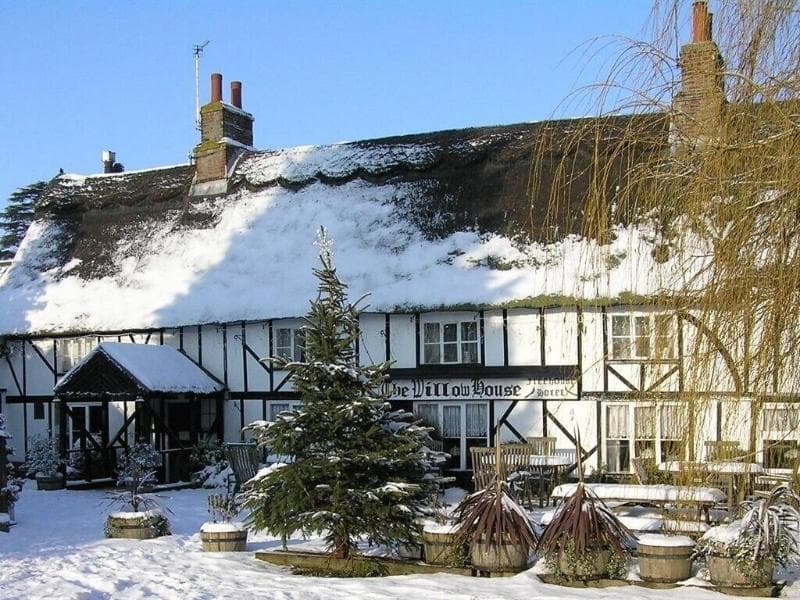 The Willow House photo 1