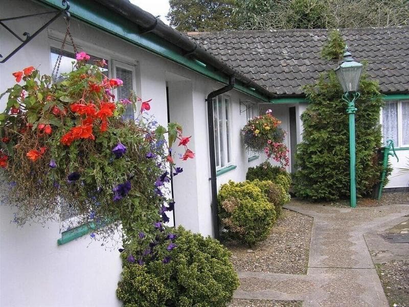 The Willow House 4