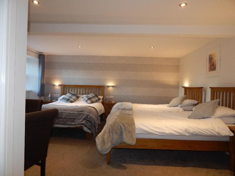 The Saxon Inn 3