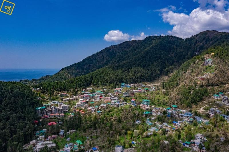 Alt Life - Dharamkot 5
