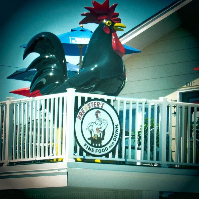 Brewer Motor Inn 5
