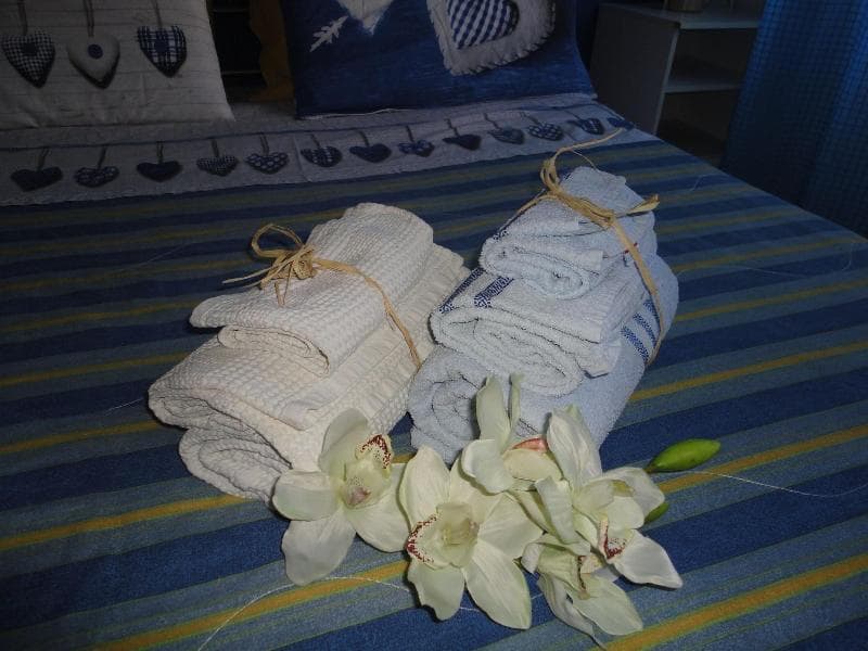 Travel And Living photo 1