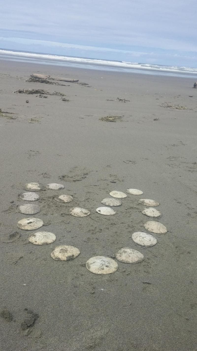 Shakti Cove Cottages photo 1