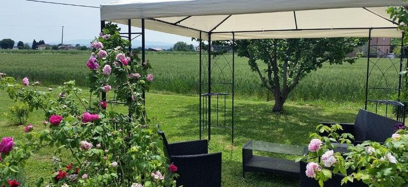 B&B Le Rose 4