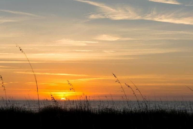 Hilton Head Resort 4
