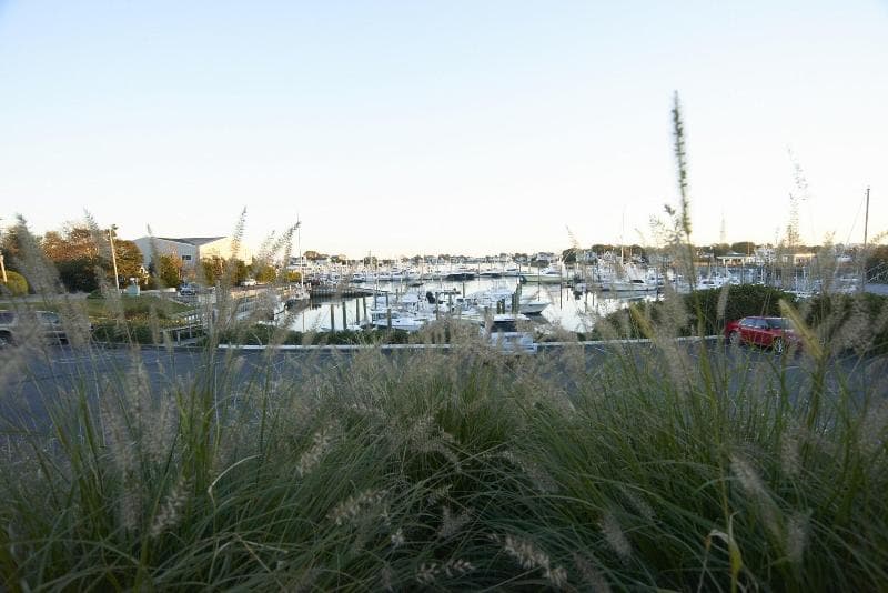 Anchor In Distinctive Waterfront Lodging 4