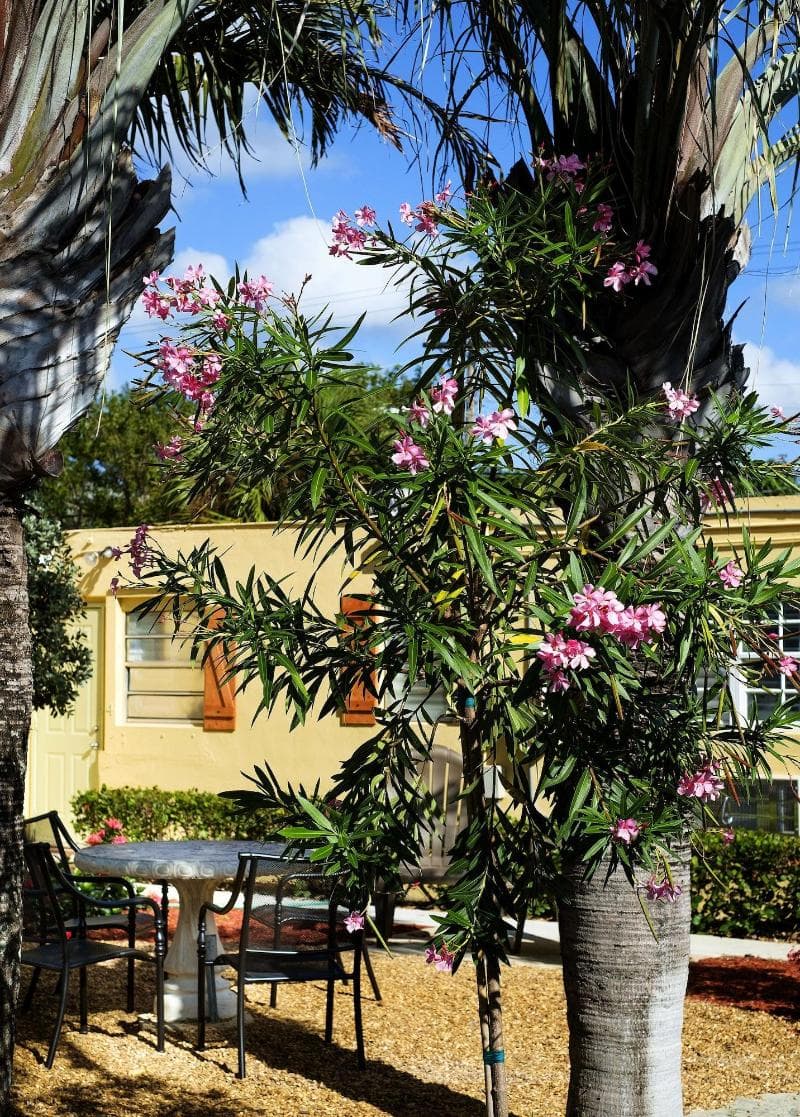 Atlantic Hideaway 5