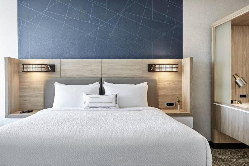 Springhill Suites By Marriott Suwanee Johns Creek 5