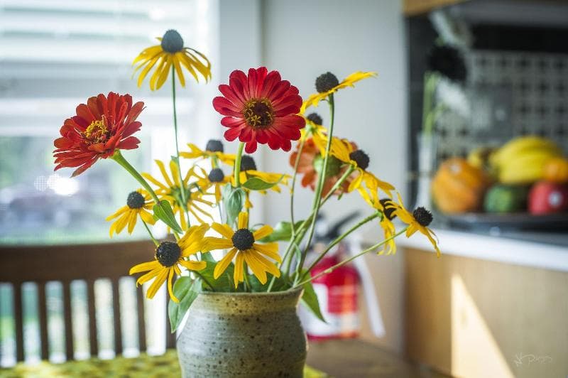 Frush Farm Bed & Breakfast 5