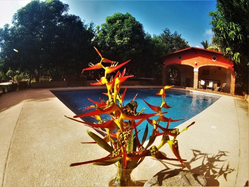 Quinta Comala 4