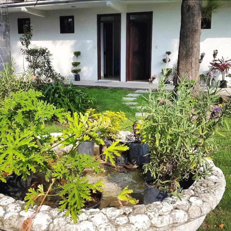 Hotel Posada Yauhtli 5