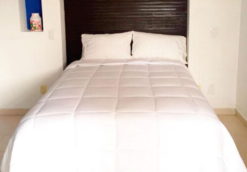 Hotel Quinta Moctezuma 4
