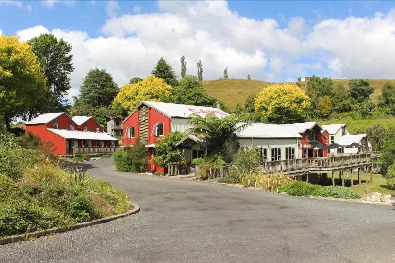 Kiwi Paka Waitomo 3