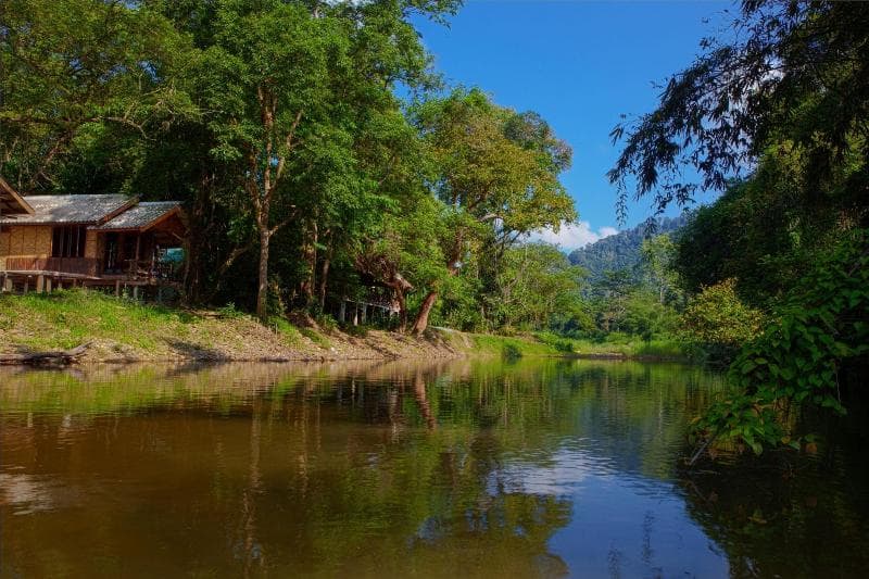 Khao Sok Riverside Cottages 5