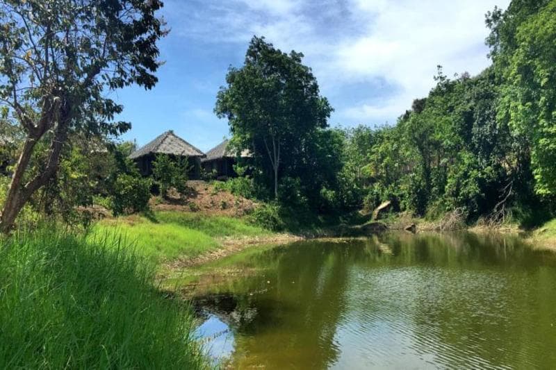 Thap Pala Cottage 3