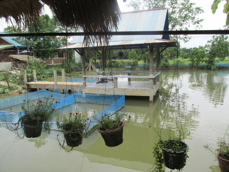 Mountain View Guest House photo 1