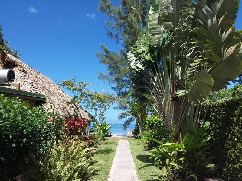 Linareva Moorea 4