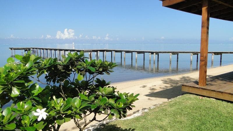 Linareva Moorea 5
