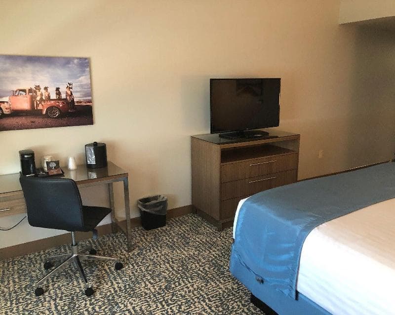 Havasu Landing Resort And Casino 3