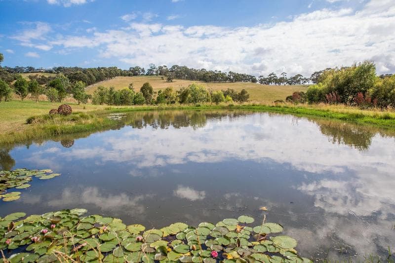Haven Red Hill (Adults Only) main