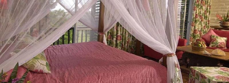 Taita Hills Safari Resort & Spa 4