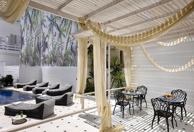 Vasia Boulevard - Adults Only 3