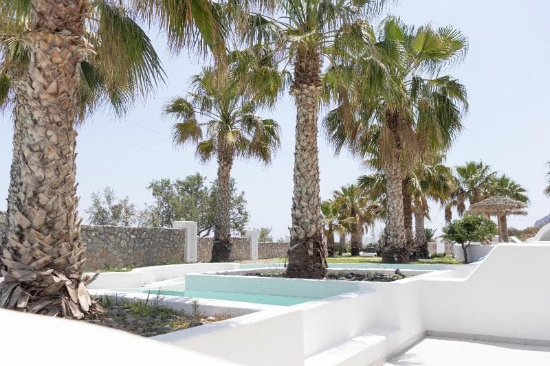 Casa Vitae Suites 4