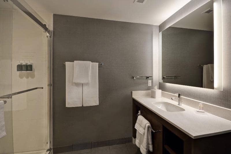 Residence Inn By Marriott New Orleans French Quarter Area/Cen B 3