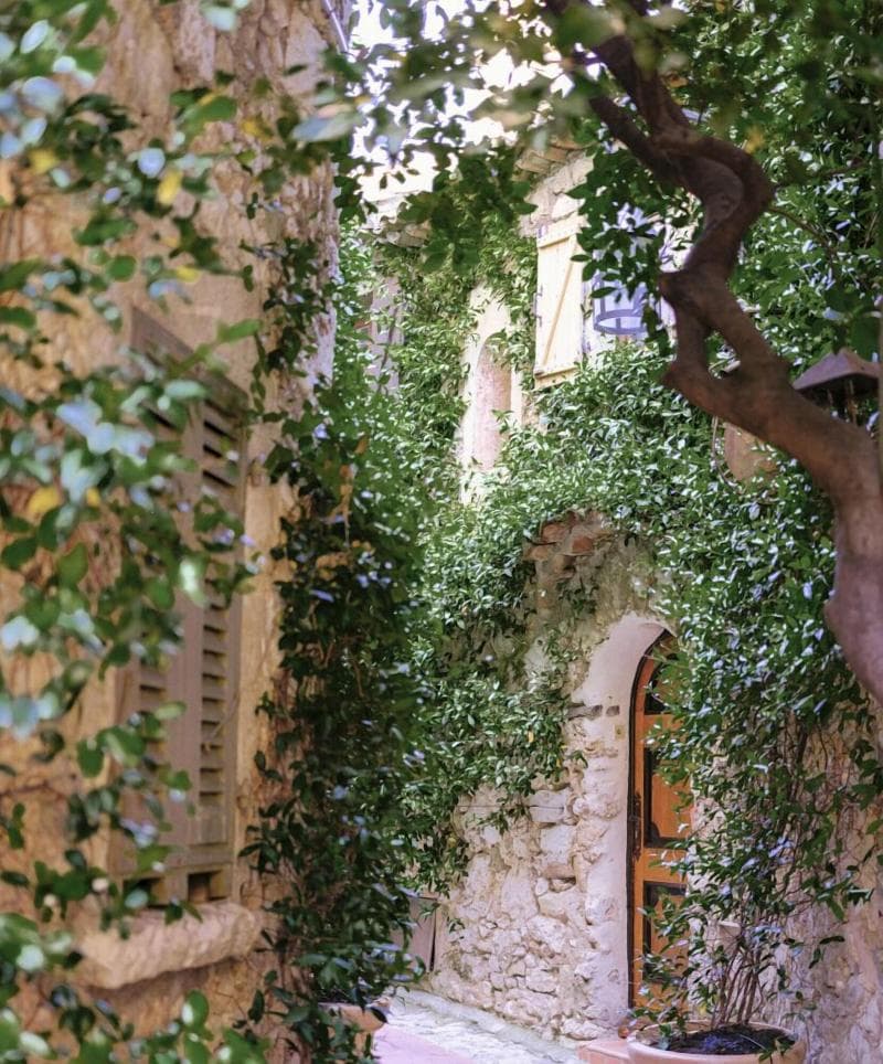Chateau De La Chevre Dor 3