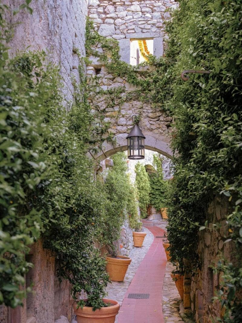 Chateau De La Chevre Dor 4