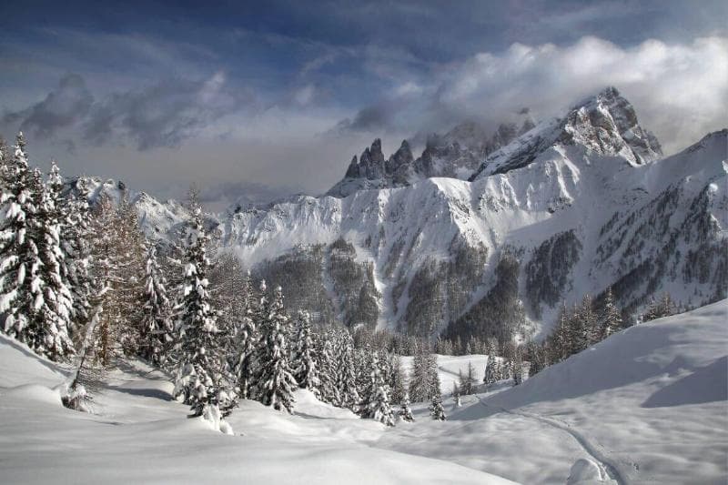 Hotel Stella Alpina photo 1
