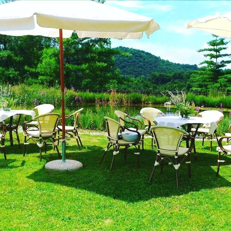 Agriturismo Borgoluce main