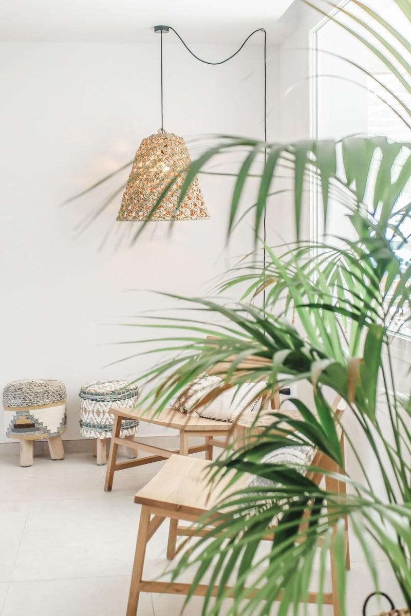 Hotel Boutique & Spa Las Mimosas Ibiza main