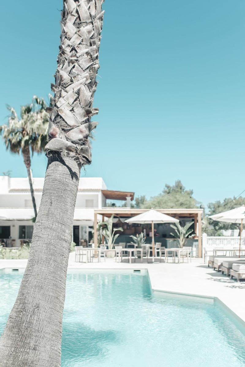 Hotel Boutique & Spa Las Mimosas Ibiza photo 1