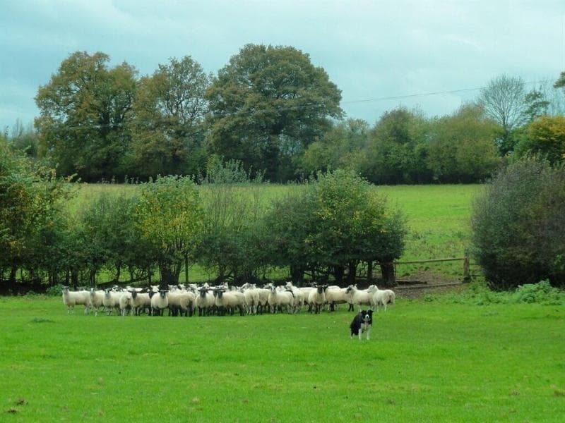 Grove Farm B&B photo 1