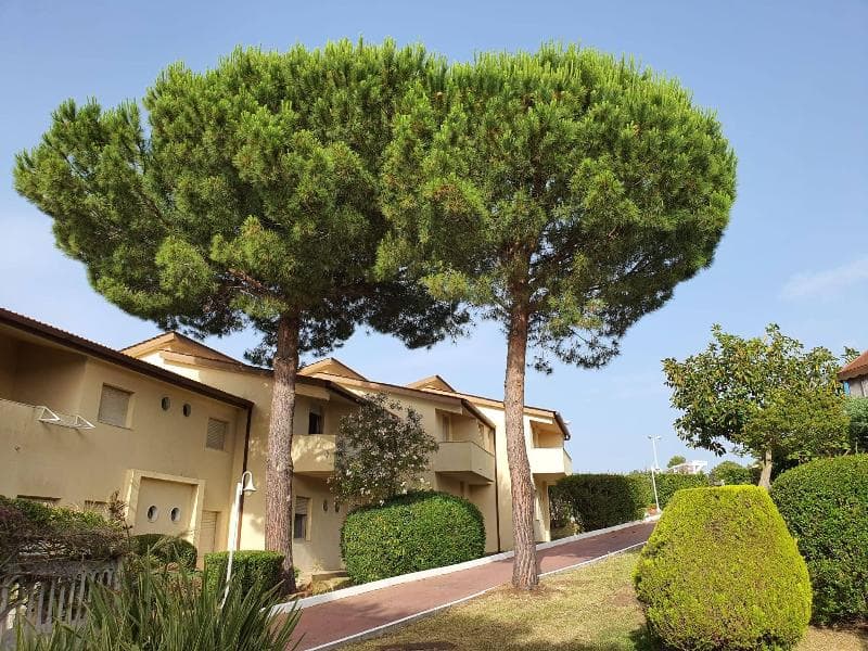 Villaggio Club La Pace 4