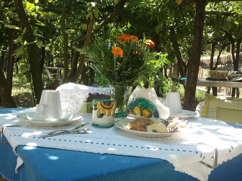 B&B La Zagara main