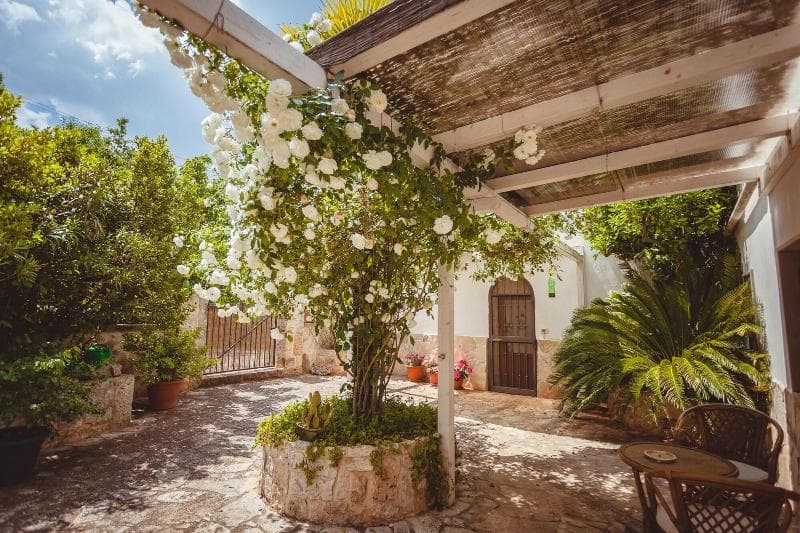 B&B Trullo Casa Rosa 5