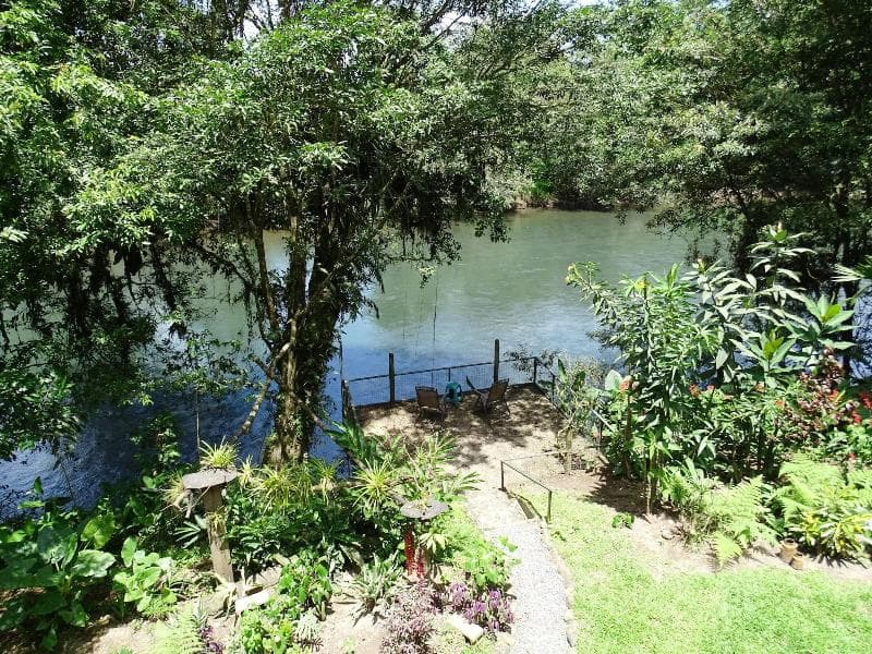 Heliconia Island main