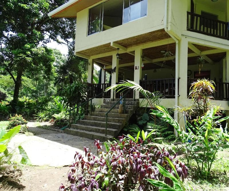 Heliconia Island 5