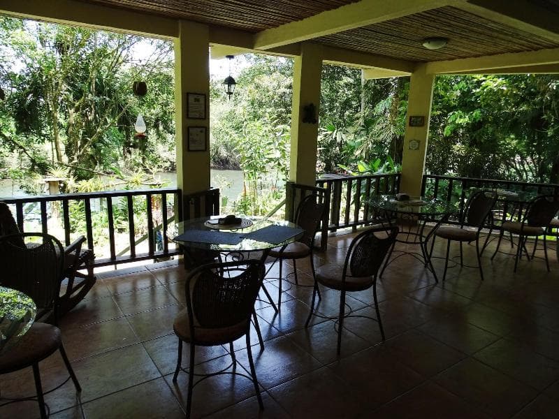 Heliconia Island 3