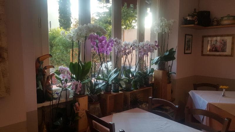 Caffe Del Viaggiatore photo 1