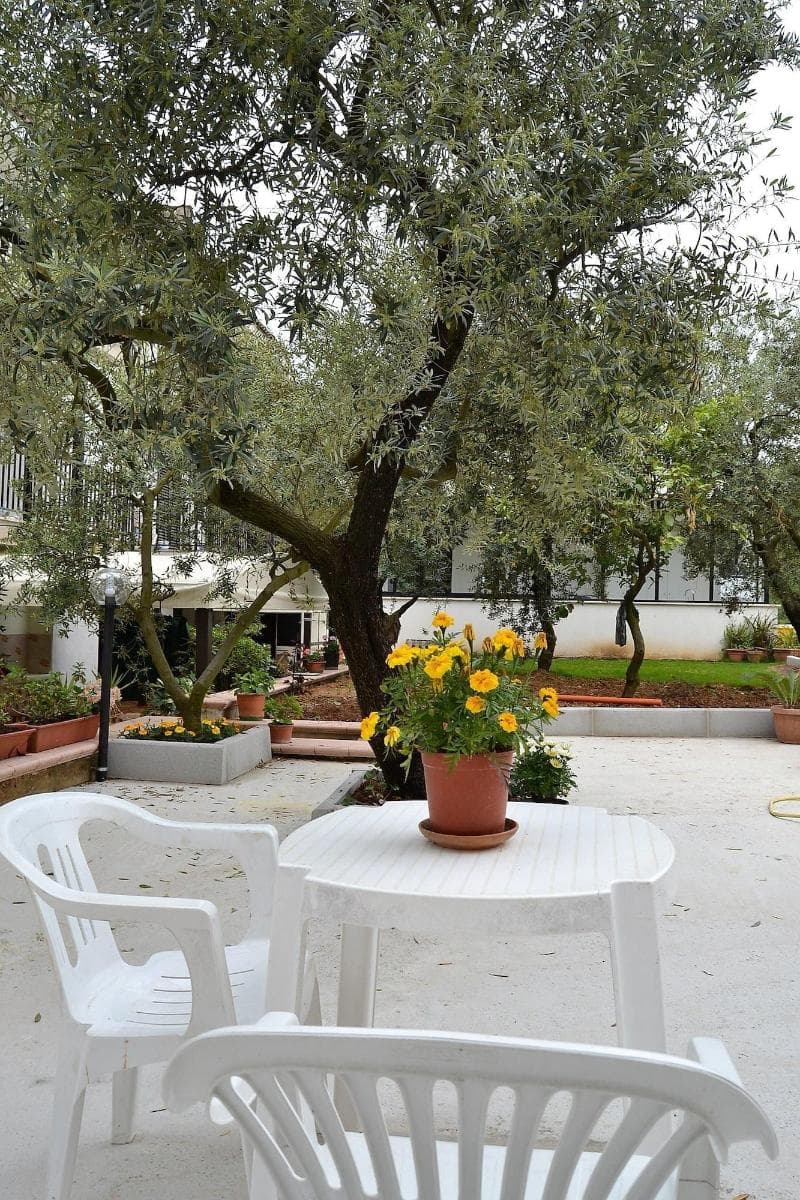 B&B Il Girasole 4