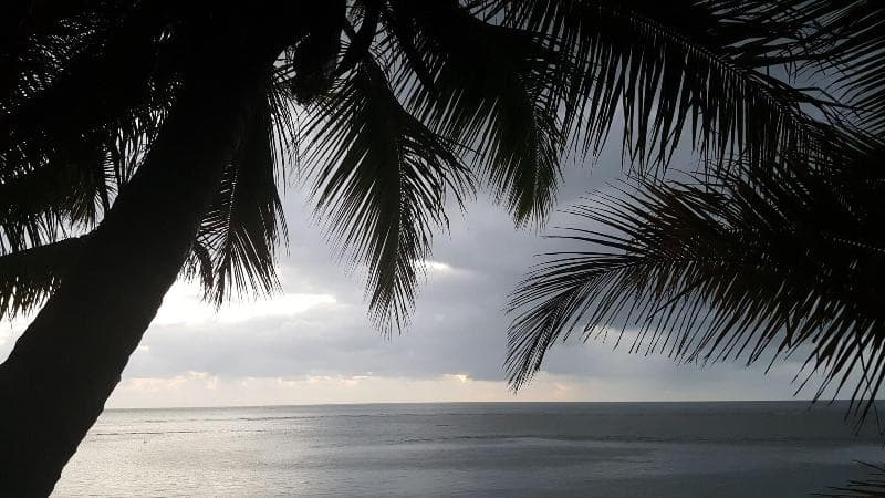 5 Star Sea Temple Port Douglas 4