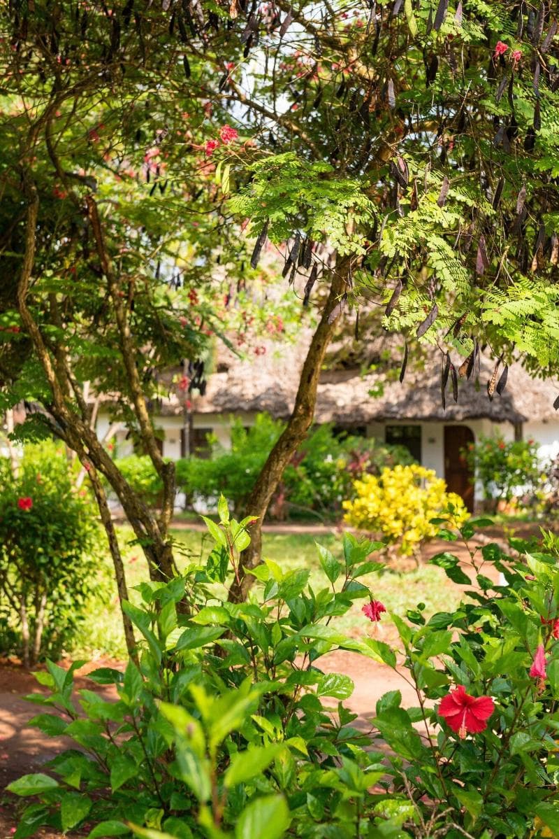 Sandies Baobab Beach Zanzibar 4