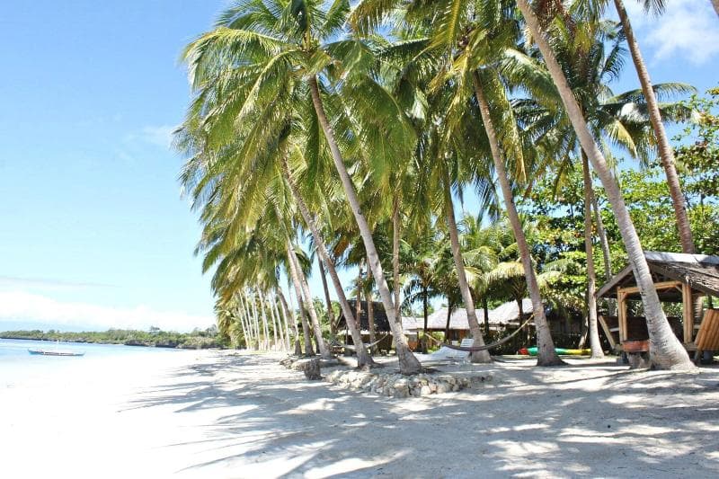 The Bruce Resort 5
