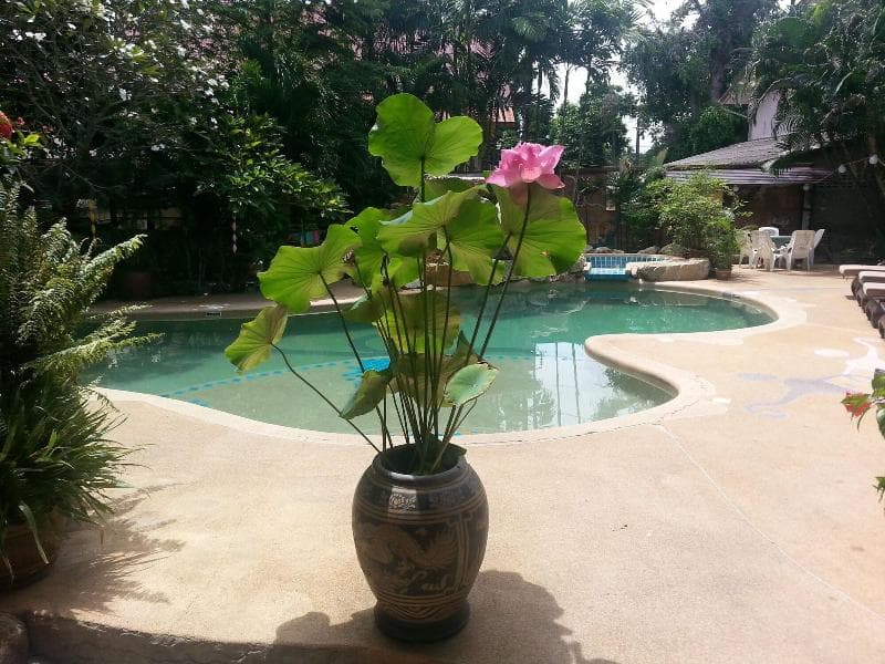 Shanti Lodge Phuket photo 1
